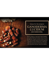 Load image into Gallery viewer, Sansim Wild Ginseng Snail Cream Set