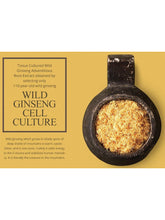 Load image into Gallery viewer, Sansim Wild Ginseng Snail Cream Set