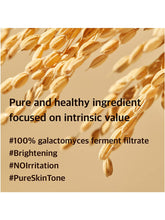 Load image into Gallery viewer, Mixsoon Galactomyces Ferment Essence 3.38 fl oz / 100ml