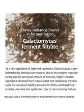 Load image into Gallery viewer, Mixsoon Galactomyces Ferment Essence 3.38 fl oz / 100ml