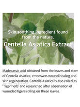 Load image into Gallery viewer, Mixsoon Centella Asiatica Essence 3.38 fl oz / 100ml