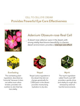 Load image into Gallery viewer, Re:NK Cell to Cell Essence (70 ml / 2.4 fl.oz)