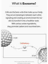 Load image into Gallery viewer, Dr.Melaxin Exosome Repair Ampoule Plus 40Ml