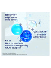 Load image into Gallery viewer, Dr. Jart+ Vital Hydra Solution Hydro Plump Water Cream 50Ml
