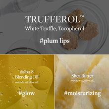Load image into Gallery viewer, d’Alba Italian White Truffle Nourishing Serum Lip Butter, Vegan Skincare - 0.12 OZ
