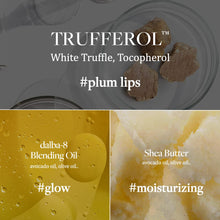 Load image into Gallery viewer, d’Alba Italian White Truffle Nourishing Serum Lip Butter, Vegan Skincare - 0.12 OZ