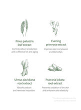 Load image into Gallery viewer, ANUA Heartleaf 77 Toner Pad 70 Sheets