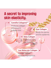Load image into Gallery viewer, [ROUND LAB] Camellia Deep Collagen Firming Ampoule (30ml/1.01fl.oz)

