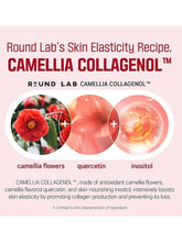 Load image into Gallery viewer, [ROUND LAB] Camellia Deep Collagen Firming Ampoule (30ml/1.01fl.oz)
