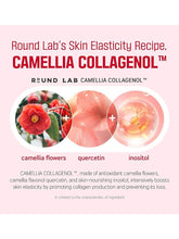 Load image into Gallery viewer, [ROUND LAB] Camellia Deep Collagen Firming Cream (50ml/1.69fl.oz)
