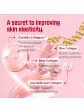 Load image into Gallery viewer, [ROUND LAB] Camellia Deep Collagen Firming Cream (50ml/1.69fl.oz)
