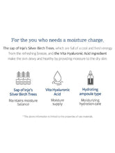 Load image into Gallery viewer, [ROUND LAB] Birch Juice Moisturizing Toner (300ml)
