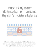 Load image into Gallery viewer, [ROUND LAB] Birch Juice Moisturizing Toner (300ml)
