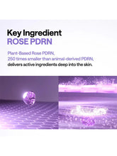 Load image into Gallery viewer, [Mediheal] PDRN Lifting Serum (40ml/1.35fl.oz)
