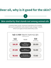 Load image into Gallery viewer, [CENTURY RECIPES] Nogyu Skin Rebirth Ampoule (40ml/1.353fl.oz)
